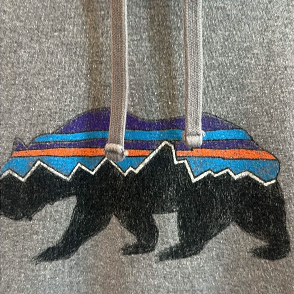 Patagonia Men's Fitz Roy Bear Midweight Hoody - Gray - Picture 6 of 10